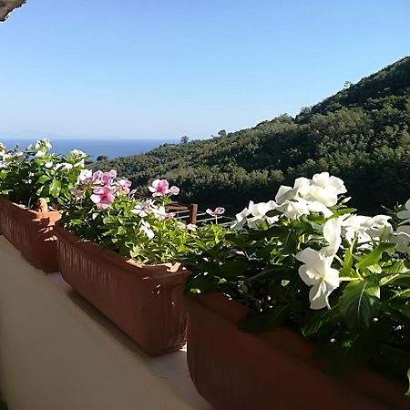 Il Covo Delle Civette Bed and Breakfast Vietri Eksteriør billede
