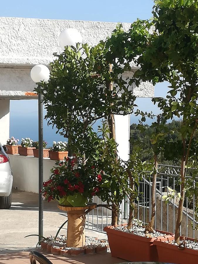 Il Covo Delle Civette Bed and Breakfast Vietri Eksteriør billede