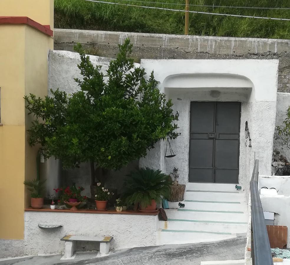 Il Covo Delle Civette Bed and Breakfast Vietri Eksteriør billede