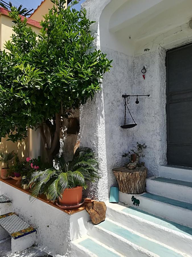 Il Covo Delle Civette Bed and Breakfast Vietri Eksteriør billede