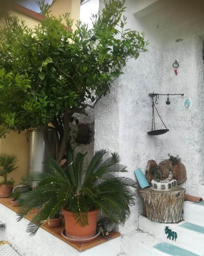 Il Covo Delle Civette Bed and Breakfast Vietri Eksteriør billede