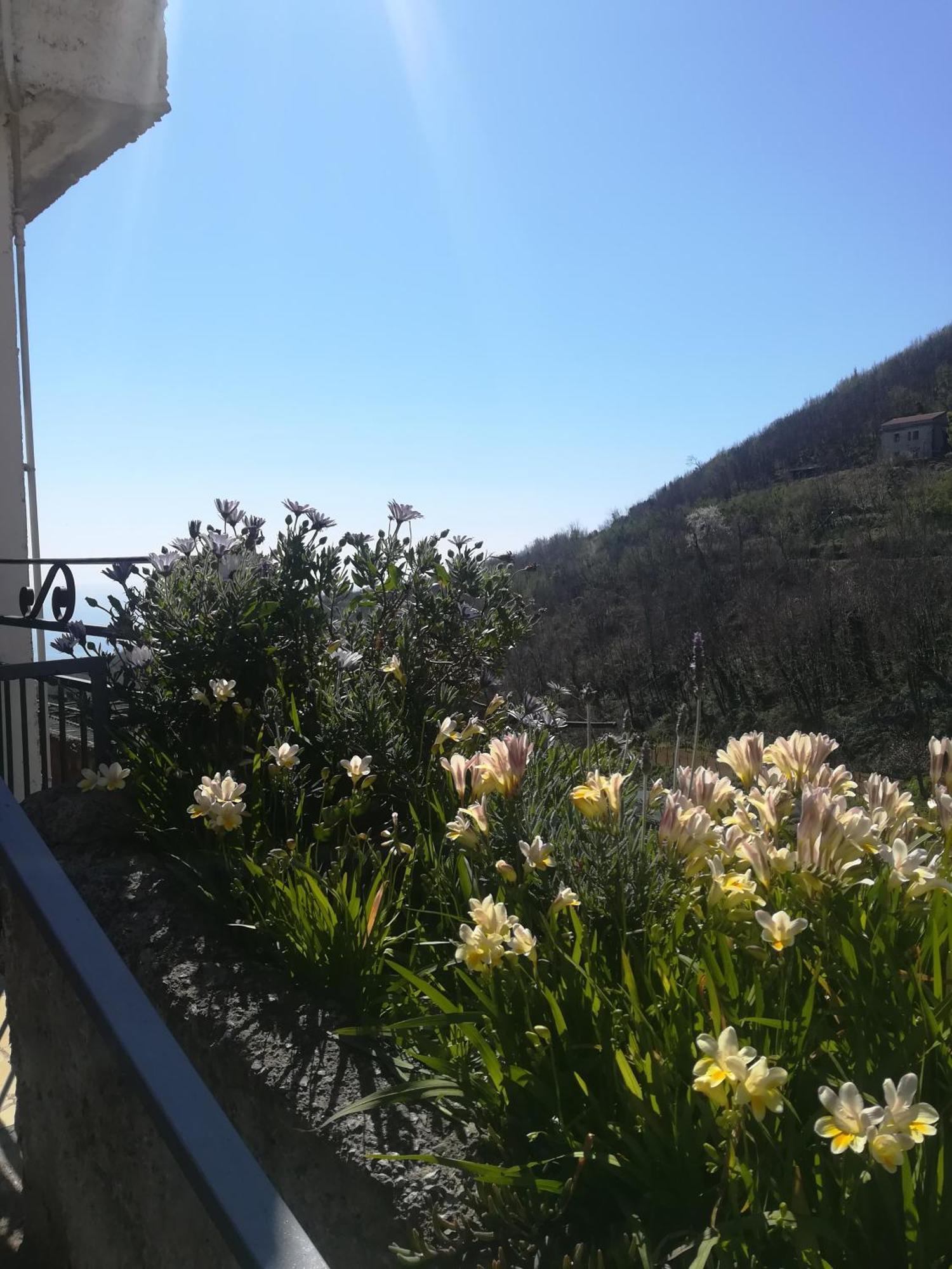 Il Covo Delle Civette Bed and Breakfast Vietri Eksteriør billede