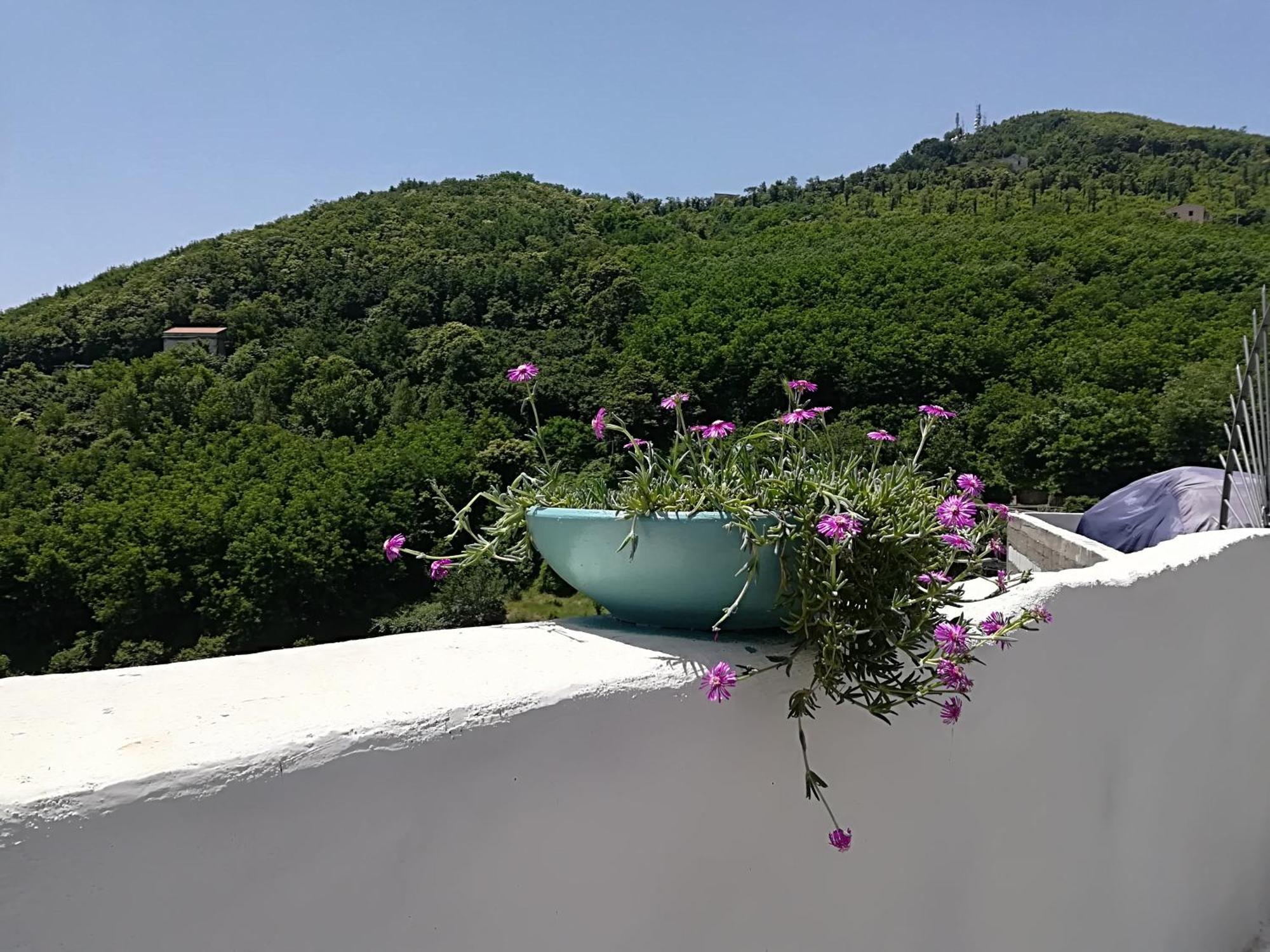 Il Covo Delle Civette Bed and Breakfast Vietri Eksteriør billede